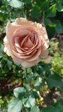 IMG_20240609_155622